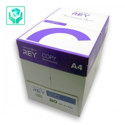 Papier imprimante A4 80grs  (carton 5000 feuilles)