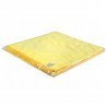 Chiffon Universel profi jaune antibac 40x40 280g/m2 10 pcs par sachet