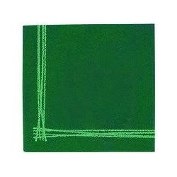 Serviette 2C Gc 40x40  P&P ToKyo vert frontiere blanc